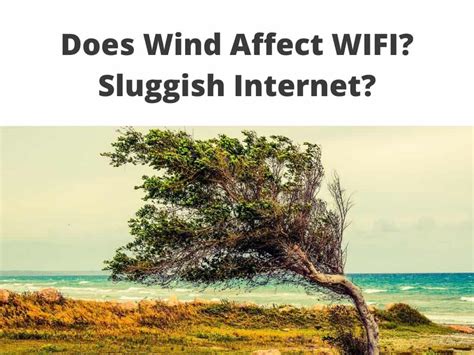 Does wind affect WiFi?